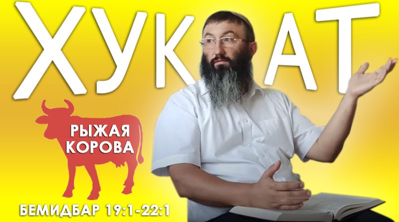 Недельная глава Хукат - Рыжая корова - Дерех Хаим - Иссахар Лемешаев